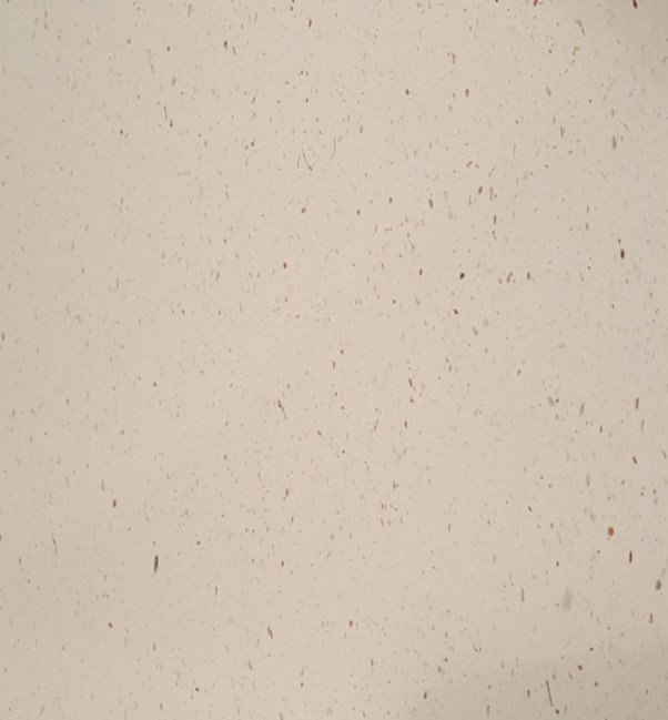 Banana Paper